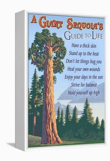 A Giant Sequoia's Guide to Life-Lantern Press-Framed Stretched Canvas