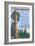 A Giant Sequoia's Guide to Life-Lantern Press-Framed Art Print