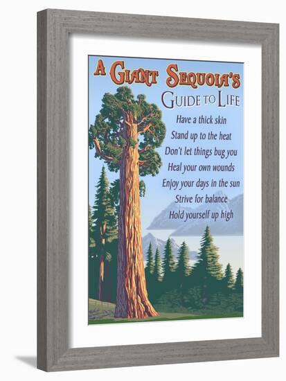 A Giant Sequoia's Guide to Life-Lantern Press-Framed Art Print