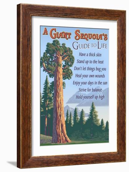 A Giant Sequoia's Guide to Life-Lantern Press-Framed Art Print