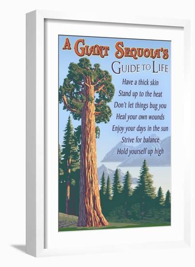 A Giant Sequoia's Guide to Life-Lantern Press-Framed Art Print