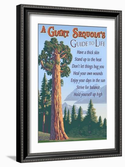 A Giant Sequoia's Guide to Life-Lantern Press-Framed Art Print