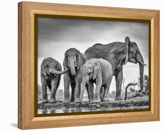 A Giant Unity-Jaco Marx-Framed Premier Image Canvas