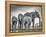 A Giant Unity-Jaco Marx-Framed Premier Image Canvas