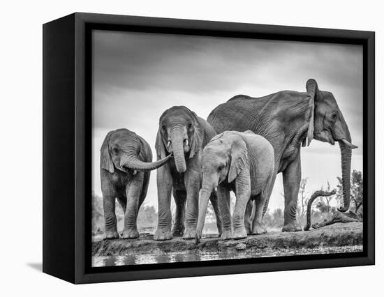 A Giant Unity-Jaco Marx-Framed Premier Image Canvas