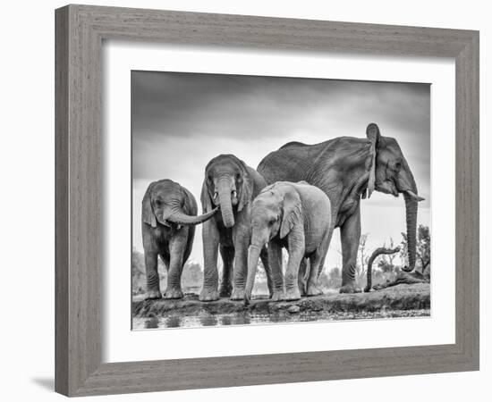 A Giant Unity-Jaco Marx-Framed Photographic Print