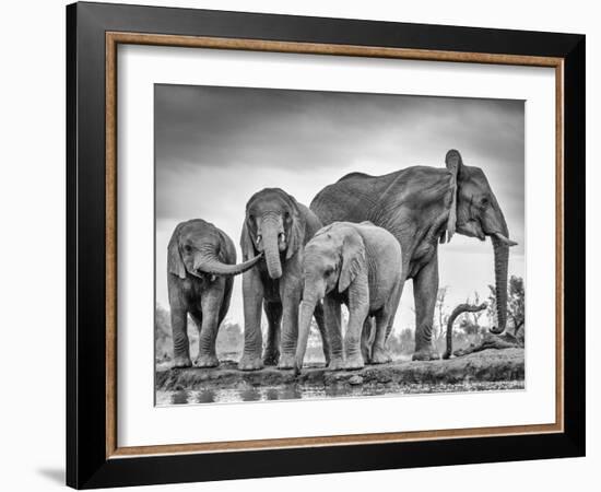 A Giant Unity-Jaco Marx-Framed Photographic Print