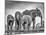 A Giant Unity-Jaco Marx-Mounted Photographic Print