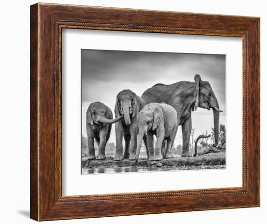 A Giant Unity-Jaco Marx-Framed Photographic Print