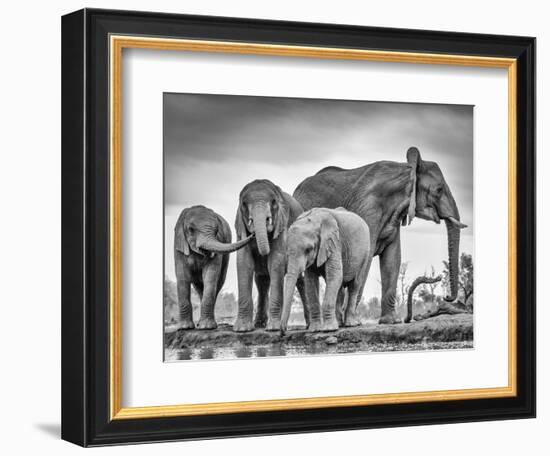 A Giant Unity-Jaco Marx-Framed Photographic Print