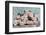 A Gift for Captivation-Sarah Gardner-Framed Photographic Print