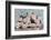 A Gift for Captivation-Sarah Gardner-Framed Photographic Print