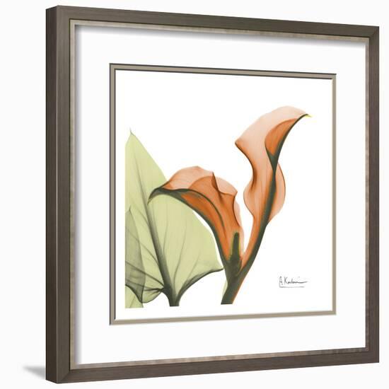 A Gift of Calla Lilies in Orange-Albert Koetsier-Framed Art Print