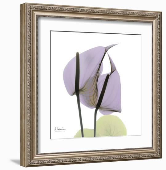 A Gift of Flowers in Lavender-Albert Koetsier-Framed Art Print