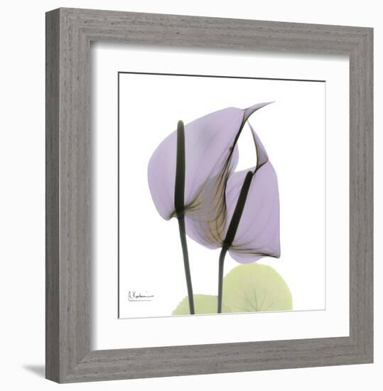 A Gift of Flowers in Lavender-Albert Koetsier-Framed Art Print