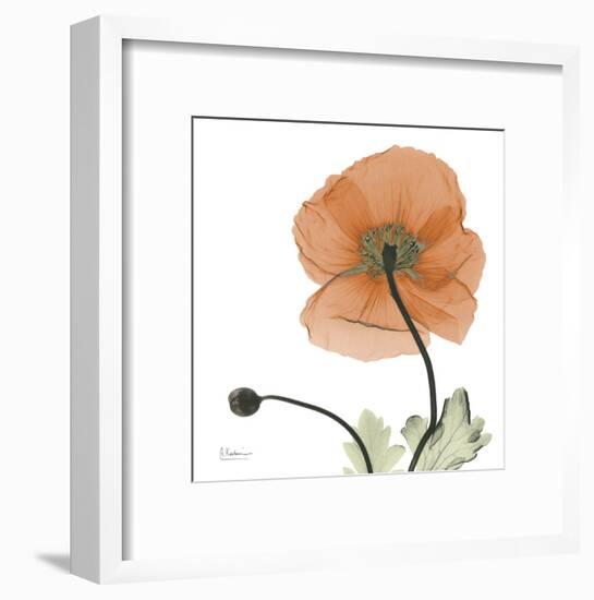 A Gift of Flowers in Orange-Albert Koetsier-Framed Art Print