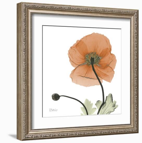 A Gift of Flowers in Orange-Albert Koetsier-Framed Art Print