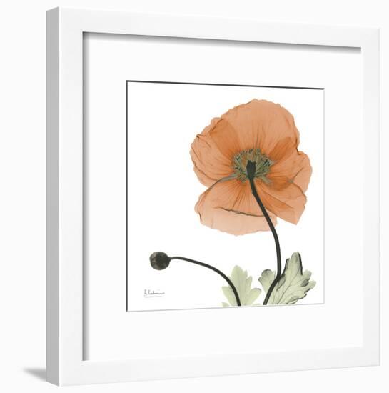 A Gift of Flowers in Orange-Albert Koetsier-Framed Art Print