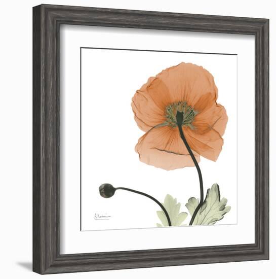 A Gift of Flowers in Orange-Albert Koetsier-Framed Art Print