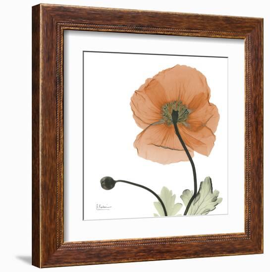 A Gift of Flowers in Orange-Albert Koetsier-Framed Art Print