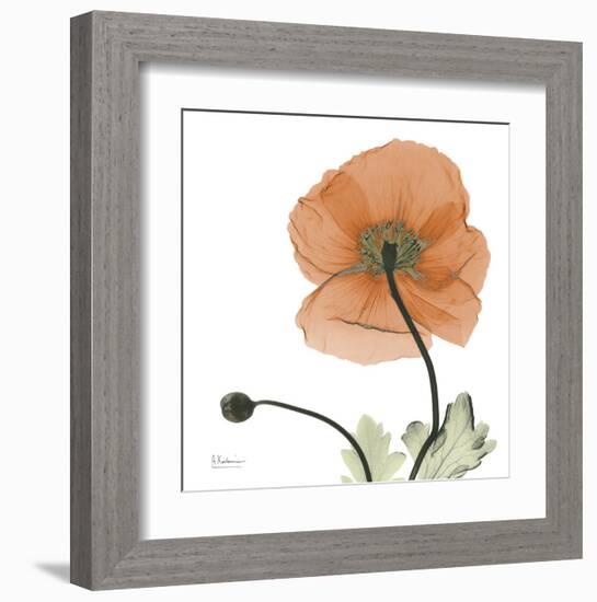 A Gift of Flowers in Orange-Albert Koetsier-Framed Art Print