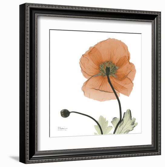 A Gift of Flowers in Orange-Albert Koetsier-Framed Art Print