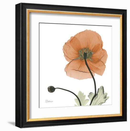 A Gift of Flowers in Orange-Albert Koetsier-Framed Art Print