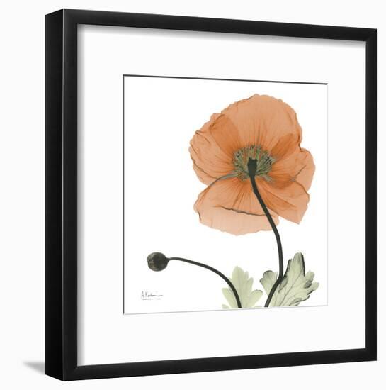 A Gift of Flowers in Orange-Albert Koetsier-Framed Art Print