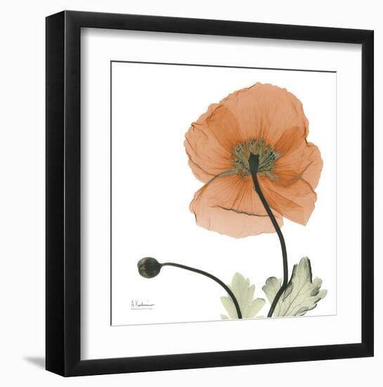 A Gift of Flowers in Orange-Albert Koetsier-Framed Art Print