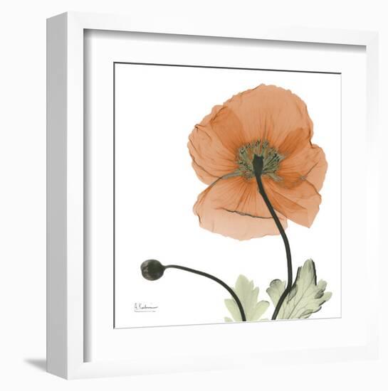 A Gift of Flowers in Orange-Albert Koetsier-Framed Art Print