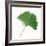 A Ginkgo Leaf with Drops of Water-Alexander Feig-Framed Photographic Print