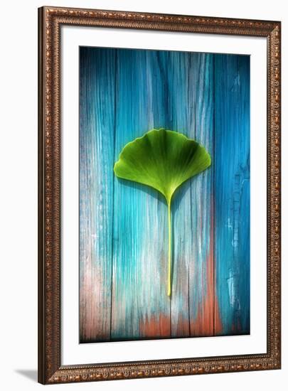 A Ginkgo Leaf-Philippe Sainte-Laudy-Framed Photographic Print