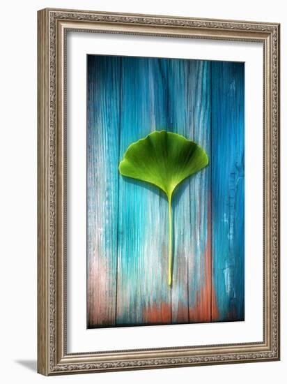 A Ginkgo Leaf-Philippe Sainte-Laudy-Framed Photographic Print