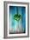 A Ginkgo Leaf-Philippe Sainte-Laudy-Framed Photographic Print