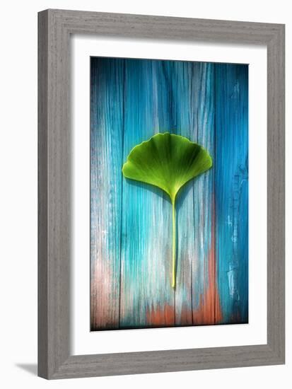 A Ginkgo Leaf-Philippe Sainte-Laudy-Framed Photographic Print