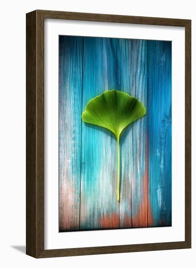 A Ginkgo Leaf-Philippe Sainte-Laudy-Framed Photographic Print