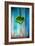 A Ginkgo Leaf-Philippe Sainte-Laudy-Framed Photographic Print