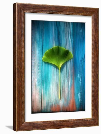 A Ginkgo Leaf-Philippe Sainte-Laudy-Framed Photographic Print