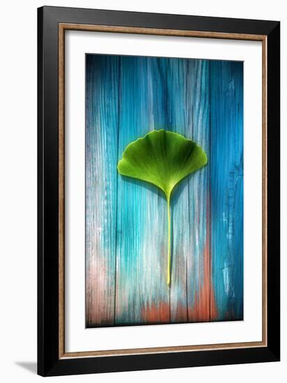 A Ginkgo Leaf-Philippe Sainte-Laudy-Framed Photographic Print