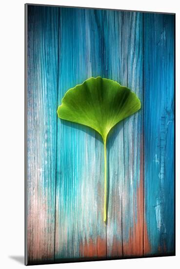 A Ginkgo Leaf-Philippe Sainte-Laudy-Mounted Photographic Print