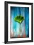 A Ginkgo Leaf-Philippe Sainte-Laudy-Framed Photographic Print
