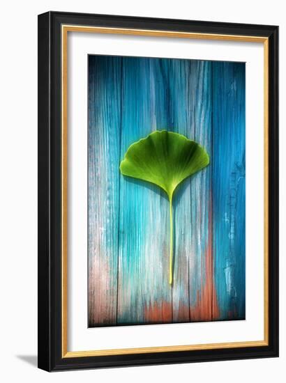 A Ginkgo Leaf-Philippe Sainte-Laudy-Framed Photographic Print