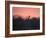 A Giraffe Peeks Out over Treetops at Sunset-Alex Saberi-Framed Photographic Print