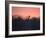 A Giraffe Peeks Out over Treetops at Sunset-Alex Saberi-Framed Photographic Print