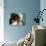 A Girl, 6, Cries as Dentist Allan Castellanos Removes a Molar Toot-null-Photographic Print displayed on a wall