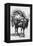 A Girl on a Camel Litter, Algeria, 1922-Crete-Framed Premier Image Canvas