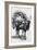 A Girl on a Camel Litter, Algeria, 1922-Crete-Framed Giclee Print