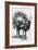 A Girl on a Camel Litter, Algeria, 1922-Crete-Framed Giclee Print