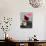 A Girl Rests on a Boat Below the Chinese National Flag-null-Photographic Print displayed on a wall