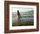 A Girl Walks on the Beach in Jacmel, Haiti, in This February 5, 2001-Lynne Sladky-Framed Photographic Print